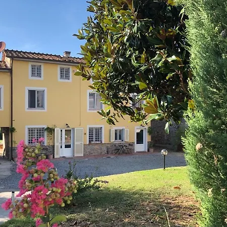Intero Campagna Lucca