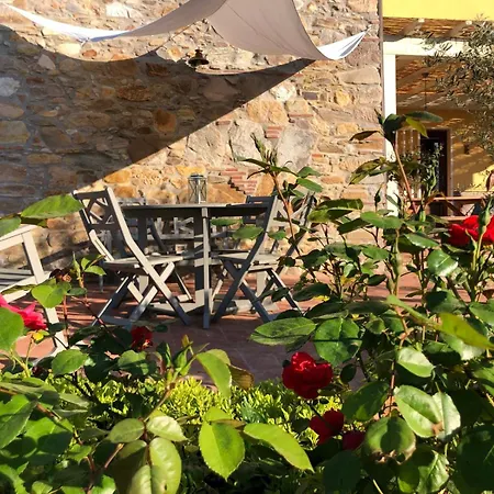 Holiday home Intero Campagna Lucca Capannori